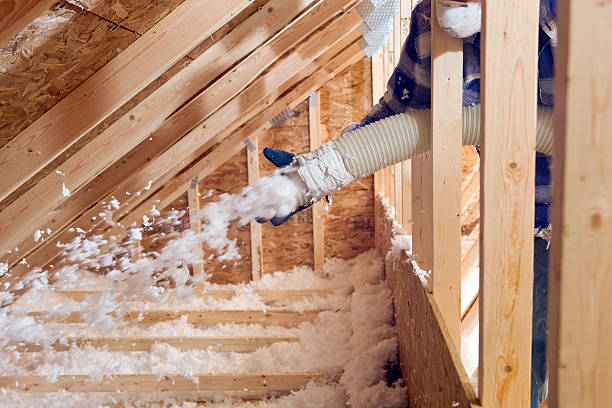 Best Eco-Friendly Insulation Solutions  in USA